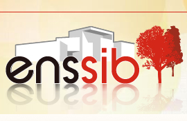 Site internet • ENSSIB